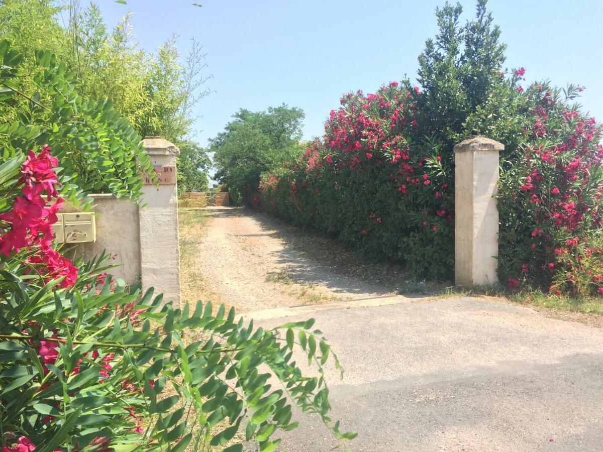 Le Mas Du Bosc Mauguio Exterior foto